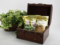 The Tea Traveler Gift Set...